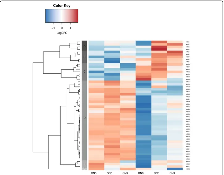 Fig. 4: Heatmap of the in silico expression patterns of 52 NBS-LRR ( L DEG) at different time points, in A