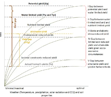 Figure 5. Graphical presentation of the various factors contributing to the yield gap