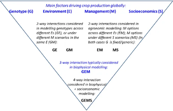 Figure 1. Crop modelling factors and relevant interactions. Four-way modelling captures the complex  interactions of genotype, environment, management, and socioeconomics