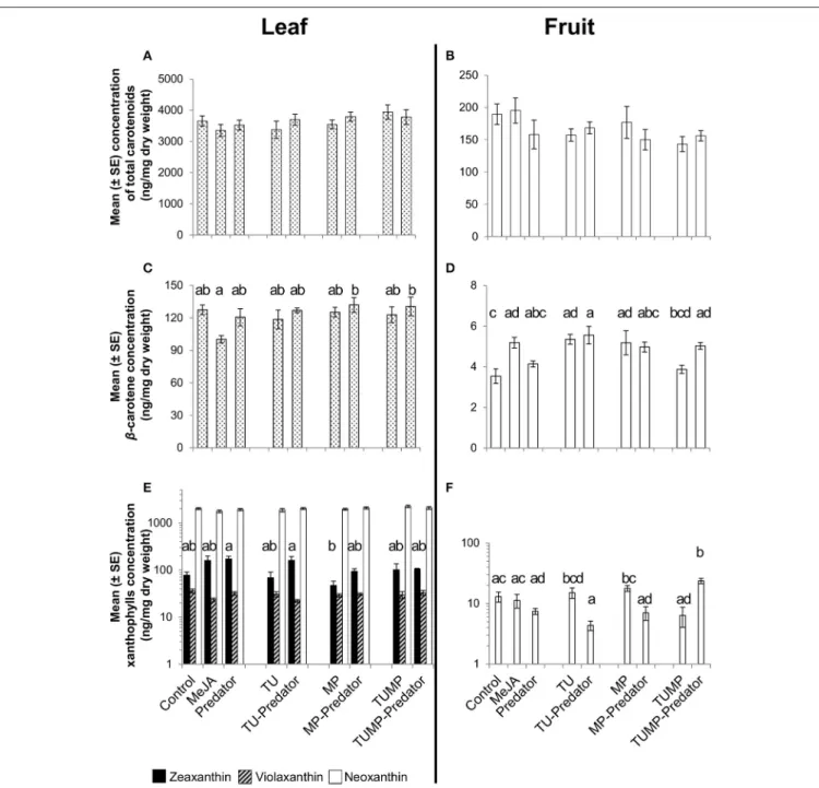 FIGURE 2 | Carotenoid content in leaves (A,C,E) leaves and (B,D,F) fruits of tomato S