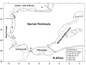 Fig. 1. Map of the Iberian Peninsula and nearby waters showing the  different areas considered here to characterize the spatial  distribu-tion of brachyuran species