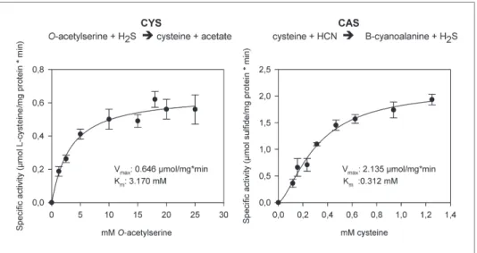 Figure 6. The two reactions catalyzed by recombinant Tu-CAS (cysteine synthase, CYS and  β -cyanoalanine  synthase, CAS), showing the kinetic plots and calculated V max  and K m  values