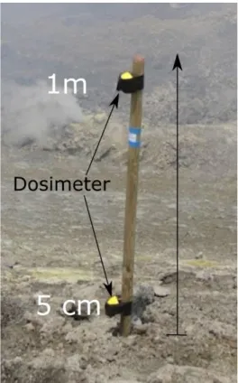Figure 3: Image of a station installed on the rim of Etna Central Crater. Two dosimeters are fixed to a wooden stick anchored 