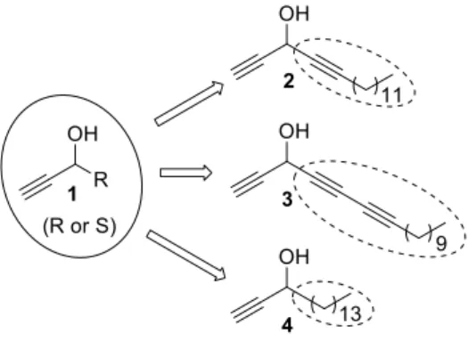 Fig. 1. General representation of LACs (1) and chemical structures of the bio-inspired  synthetic compounds 2-4