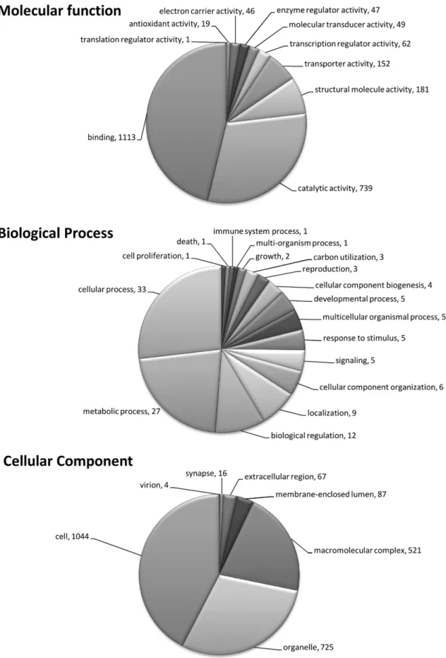 Figure 2. Graphical representation of annotation for version 2 of the B. glabrata microarray