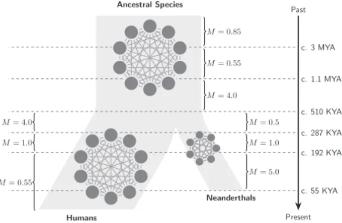Fig. 5 Hypothetical scenario presenting humans and Neanderthals as structured species derived from an unknown Homo species that was itself structured
