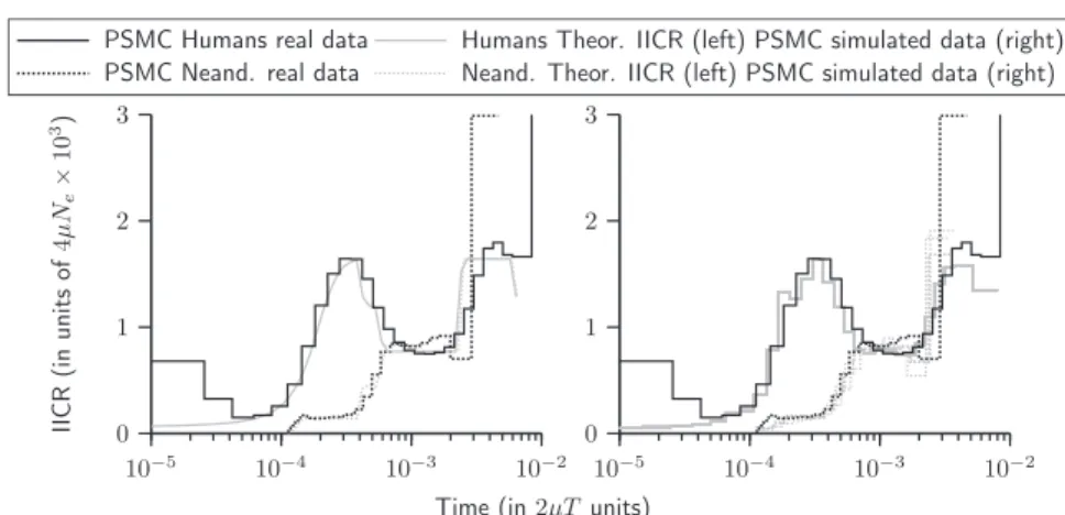 Fig. 6 IICR and PSMC plots for humans and Neanderthals. The PSMC plots obtained from real human and Neanderthal sequences are similar to the theoretical IICR (left panel) corresponding to the proposed scenario