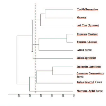 Fig. 2. Cluster Analysis of the 11 case studies of rural forests