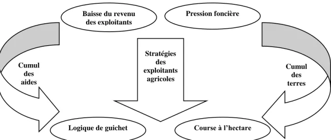 Figure 2 : Les principales stratégies adoptées par les acteurs face aux contraintes financières et  foncières au sein de la profession agricole 