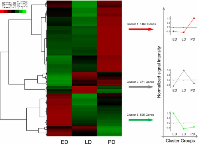 Figure 5. Differential expression genes were filtered with the absolute value of log2Ratio ≥ 1 based on the FDR < 0.001 among ED, LD and PD