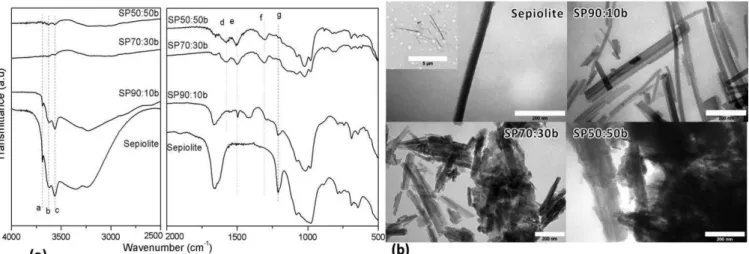 Figure 2.  FTIR spectra (a) and TEM micrographs with  a scale of 200 nm (b) of sepiolite, SP90:10b, SP70:30b and SP50:50b by bulk polymerization