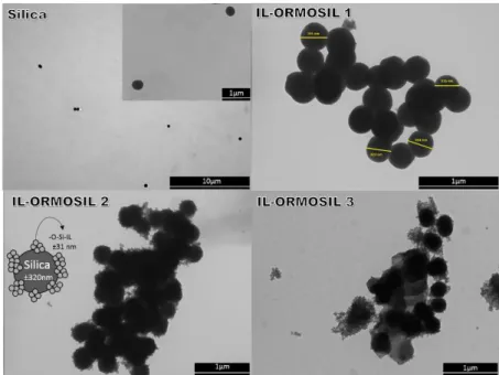 Figure  2.  TEM  of  silica,  and  the  IL-ORMOSILs  prepared  with  5%  (IL- (IL-ORMOSIL  1),  10%  (IL-(IL-ORMOSIL  2)  and  20% (IL-(IL-ORMOSIL  3)  of  IL-TMOS  precursor