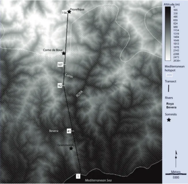 Figure 1. Map of transect location and boundary of the Mediterranean Hotspot.