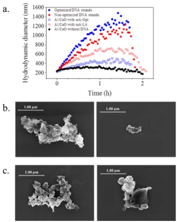 Figure 6. (a) Evolution of the hydrodynamic diameter of colloidal suspensions of Al and CuO NPs as a function of time in PB with a NaCl concentration of 35 mM and Tween 20 at 0.05 vol % at pH 7 and 25 °C