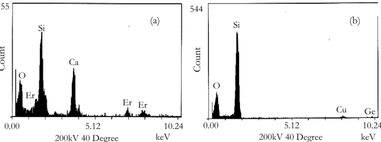 Figure 2: Energy Dispersive X-ray Analyses spectra of the preform sample doped with  Ca and Er