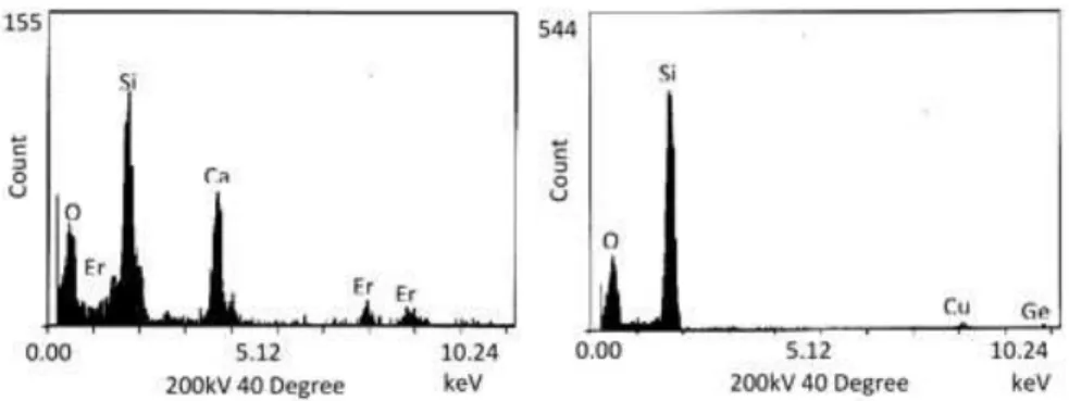 Figure 5  Energy Dispersive X-ray Analyses spectra of the preform sample doped with Ca and Er