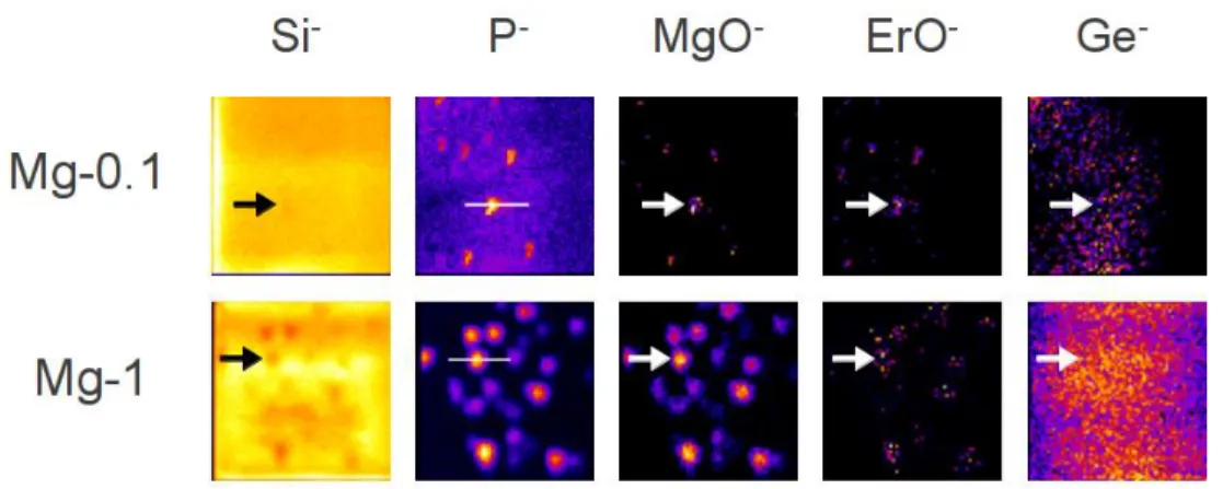 Fig. 3. Spatial distributions of Si, P, Mg and Er elements in Mg-0.1 and Mg-1 measured by Nanosims50