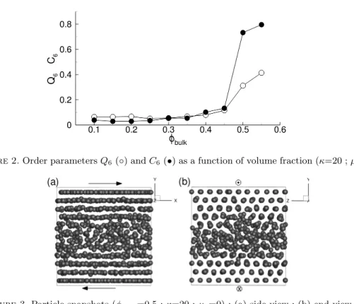 Figure 3. Particle snapshots (φ bulk =0.5 ; κ=20 ; µ d =0) : (a) side view ; (b) end view