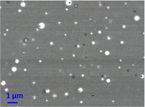 Fig. 4: SEM image showing nanoparticle inside the central core region of the preform 