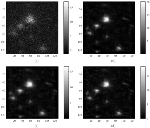 Figure 10: (a) Raw picture, 20 000 photons, m = 0.01, σ 2 = 0.1. (b) γ = 0, k = 9, E min = 0.4147