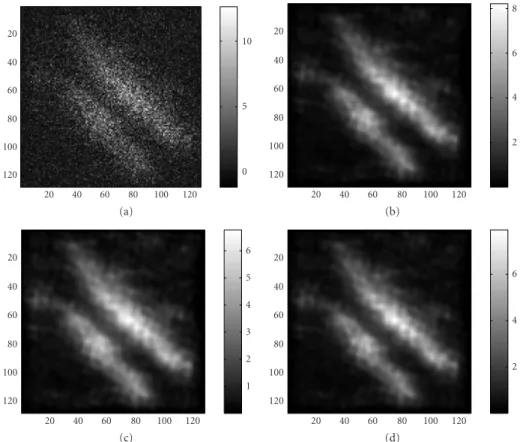 Figure 6: (a) Raw picture, 20000 photons, m = 0.01, σ 2 = 0.1. (b) γ = 0, k = 5, E min = 0.2956