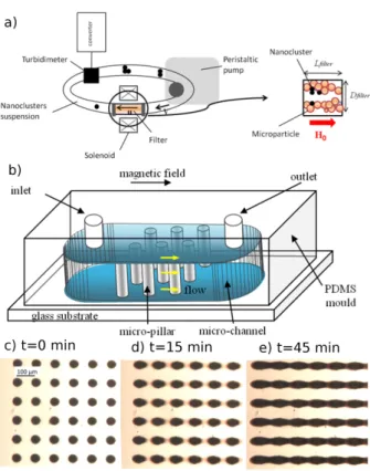 Fig. 5. Sketch of the experimental setups used for the filtration through a packed bed of microbeads (a) and  through a microfluidic channel with a micro-pillar array (b)