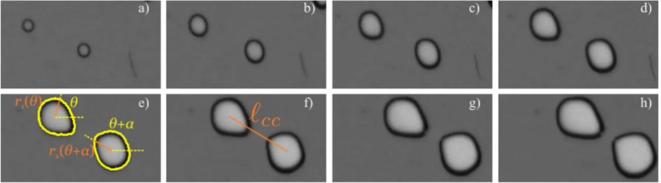 Figure 9. Experimental snapshots of two close-neighbor growing bubbles : a) t=50 s, b) t=100 s, c) t=150 s, d) t=200 s, e) t=250 s, f) t=300 s, g) t=350 s and h) t=400 s