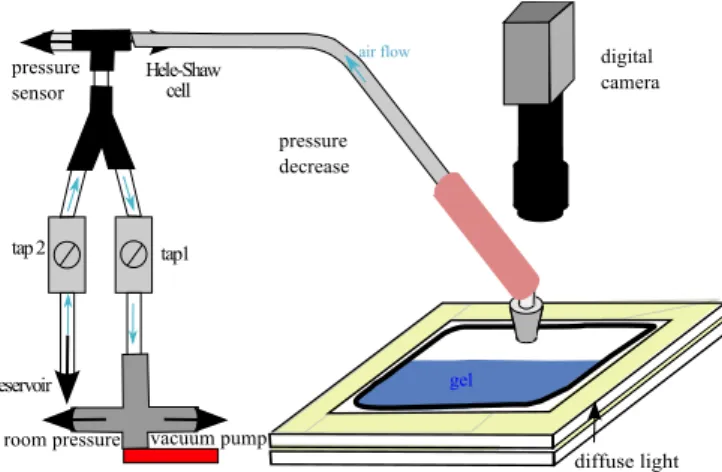Table I. Rheological properties of the hydrogels measured by a cone plate rheometer (angle 1 deg)