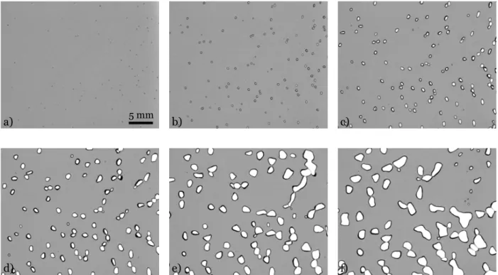 Figure 2. Image sequence of bubbles growth inside a 4% hydrogel with 100 s between two images and a pressure rate -0.67 mbar.s − 1 