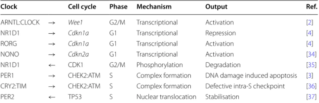 Table 1  Summary of experimentally validated molecular interactions between the circadian clock  and the mammalian cell cycle molecular networks