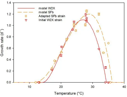 Figure 1: temperature conditions applied during the 3 first cycles of the selection experiment in 135 