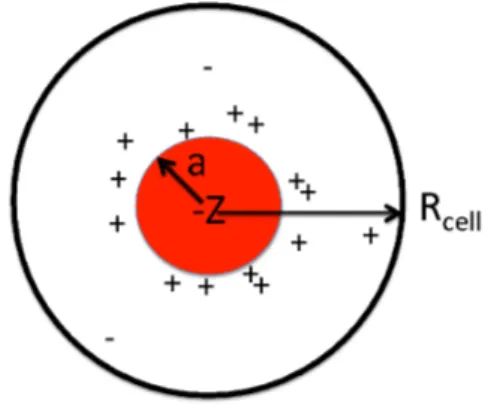 Figure 1: A central charged colloidal particle with radius a and a net charge Z is placed in a cell with radius R cell 