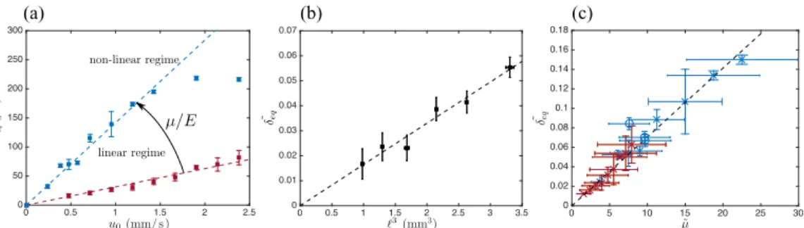 FIG. 8. Equilibrium deflection for a given confinement β = 0 . 8. (a) Evolution of the equilibrium deflection as a function of the fluid mean velocity for a given fiber length  = 1300 μ m and for two different ratios μ/ E = 3 