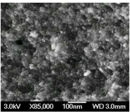 Fig. 2: SEM picture of TiO 2  particles calcined at 500°C/4h. 