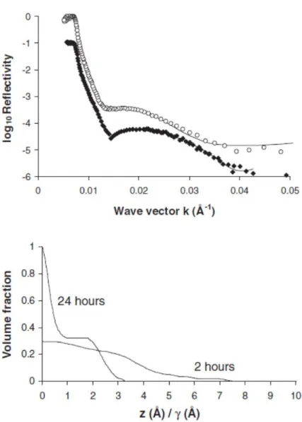 Figure 4. Top: neutron reflectivity data of the PAA brush obtained after 24 h pyrolysis (♦) and the PAA bimodal  brush after 2 h pyrolysis (○). Bottom: The corresponding monomer volume fraction profiles of the PAA brushes  that  best  fit  the  reflectivit
