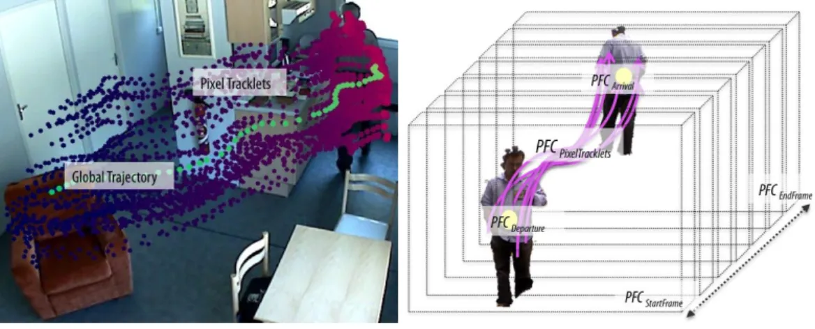 Figure 1: Global trajectories (green) and Pixel Tracklets (purple to pink) to construct Perceptual Feature Chunks.
