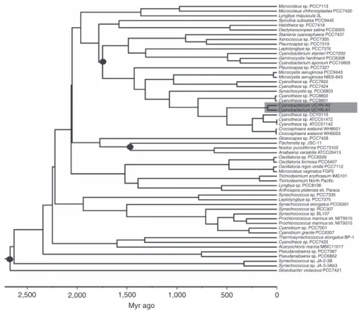Figure 3 | Time-calibrated cyanobacteria tree. The phylogeny shown was estimated based on 135 proteins from 57 taxa