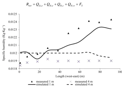 Figure 4. Measured and CFD2000 predicted longitudinal specific air humidity profile.   