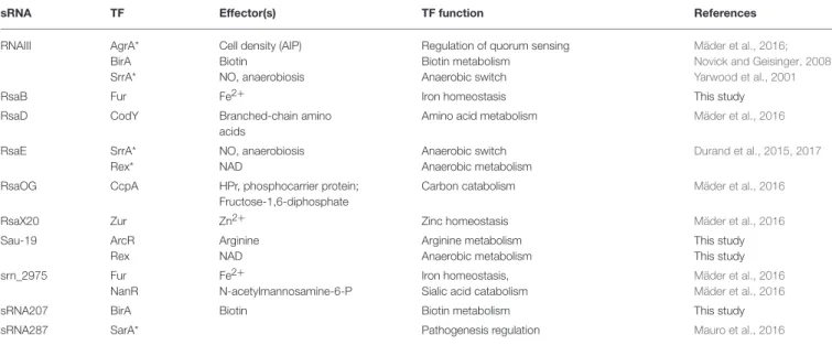 TABLE 3 | List of transcription factor motifs found by MAST analysis (E-value &lt; 0.01) in the putative promoter region (−100 to +50 nts from transcription start sites) of bona fide sRNAs.