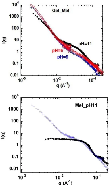 Figure 4: SANS (a) above, gels obtained by heating from the cruciferin plus napin mixtures at the  three  pHs  at  initial  state