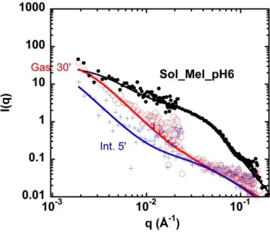 Figure  6:  SANS  spectra  with  fits  for  solution  of  napin/cruciferin  mixture  at  pH6  (Sol_Mel_pH6),  in  log I(q) versus log q (absolute units, cm -1 ) – PAXY, LLB