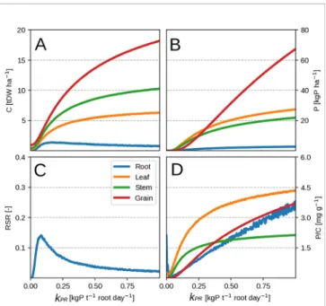 FIGURE 2 | Modeled plant response with initial guess values (Table 2). Plots show the time evolution at high P availability (k PR = 1.0 kgP tDW – 1 root ha – 1 day –1 )