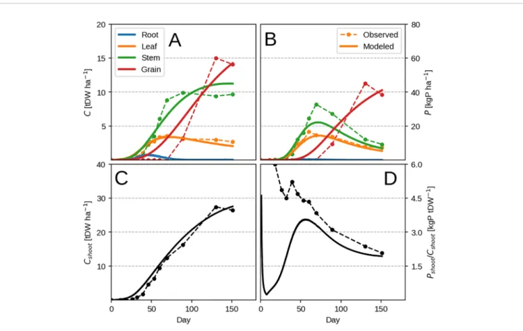 FIGURE 5 | Modeled vs. observed time-series for the highest P input ﬁ eld maize experiment (block 4)