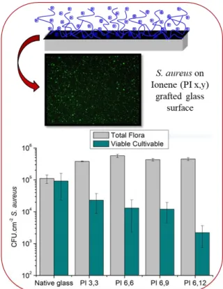 Figure  1:  Upper  :  Epifluorescence  microscopy  of  fluorescent  S.  aureus  strains  (total  flora)  on  ionene  surfaces