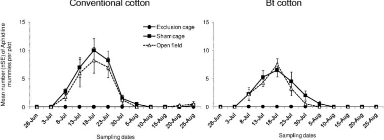 Fig 4. Population dynamics of aphid parasitoids. Mean numbers (±SE) of Aphidiine mummies per plot in exclusion cages, sham cages and open field plots at HZAU experimental station (Wuhan, China) from late June to late August in 2013.