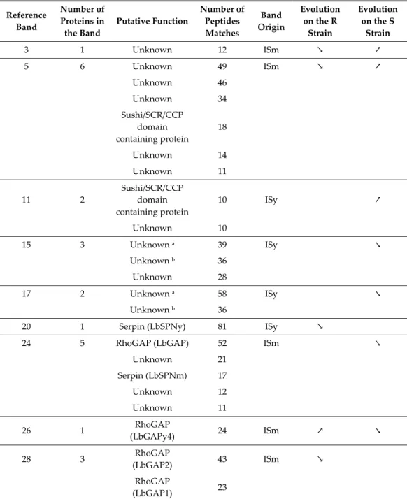 Table 3. Correspondence between evolving bands and their putative protein content. 
