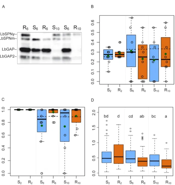 Figure 4. Specific analysis of the evolution of the LbSPN, LbGAP and LbGAP2 proteins. (R) and (S)  letters indicate the resistant and susceptible host strains, respectively, and subscript numbers the  generation