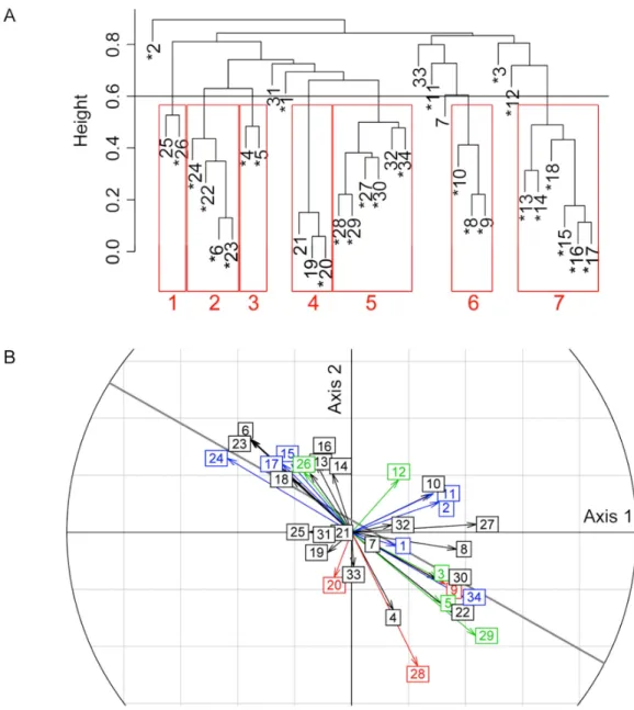 Figure 3. Protein bands correlations with each other and with the discriminant axes. (A) clustering  analysis