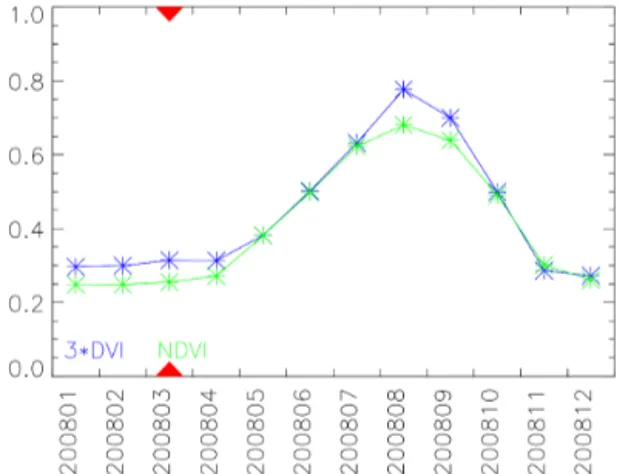 Figure 5. An example of the NDVI window content. It shows the time series of the NDVI and the DVI