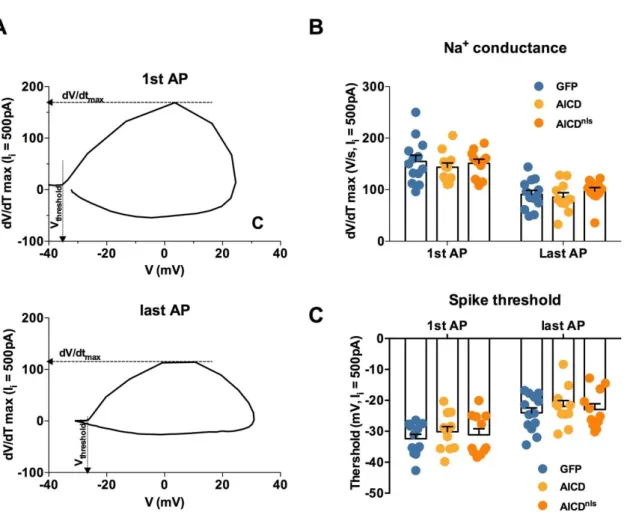 Figure  S2  –  Related  to  Figure  1.  Na +   channels  responsible  for  AP  generation  are  not  implicated in the AICD-regulation of neuronal excitability